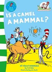 Is A Camel A Mammal