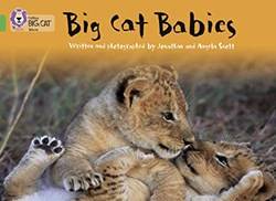 Big Cat Babies ( Green 5 )