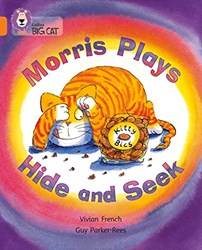 Big Cat Morris Plays Hide ( Orange 6 )