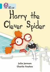 Big Cat Harry Spider
