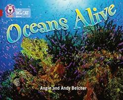 Collins Big Cat Oceans Alive 14 Ruby