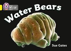 Collins Big Cat - Water Bears