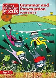 Primary Focus Grammar & Punctuation Pb3