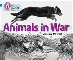 Animals In War Band 04 Blue/ 17 Diamond