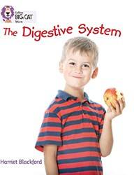 The Digestinve System