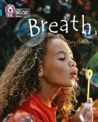 Breath Band13/ Topaz