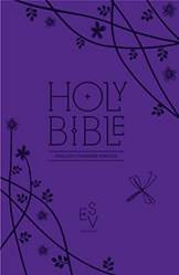 Anglicised Purple Compact Gift Edition With Zip (esv)