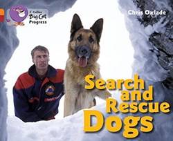 Search And Rescue Dogs