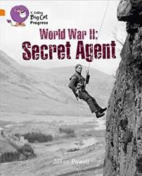 Second World War Secret Agent