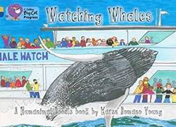 Watching Whales