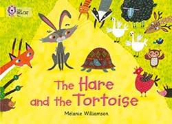 The Hare And The Toroise