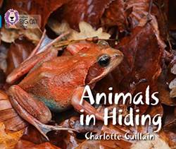 Animals In Hiding