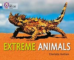 Extreme Animals  White/sapphire