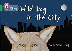 Wild Dog In The City