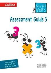 Busy Ant Maths - Assessment Guide y3