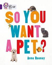 Big Cat So You Want A Pet