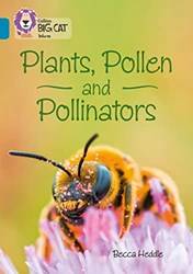 Plants Pollen And Pollinators