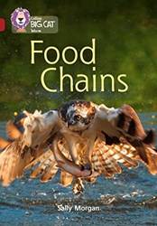 Big CaT-Food Chains