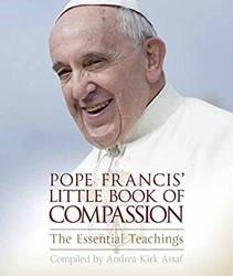 Pope Francis Little Book Of Compassion