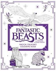 Magical Creatures Colouring Book