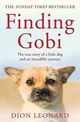 Finding Gobi (main Edition)