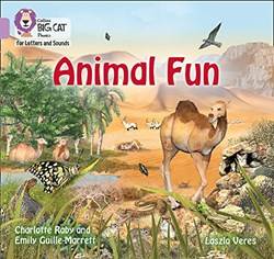 Animal Fun