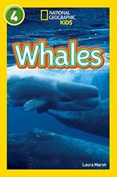 National Geographic ReaderS- Whales