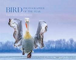 Bird Photographer Of The Year Collection 4