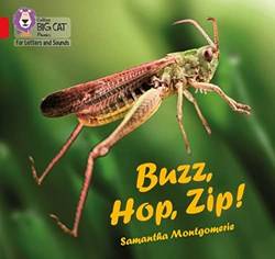 Buzz Hop Zip]