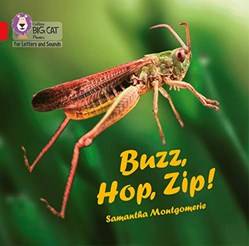 Buzz Hop Zip] Big Book