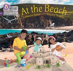 Big Cat Phonics  At The Beach Foundations For Phonics