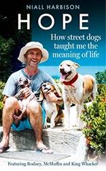 Hope  How Street Dogs Taught Me The Meaning Of Life
