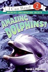 Amazing Dolphins]