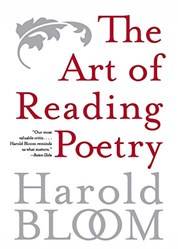 Art Of Reading Poetry