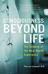 Consciousness Beyond Life