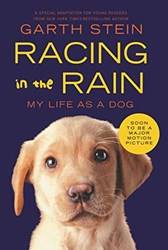 Racing In The Rain