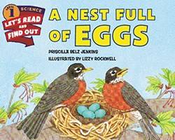 Nest Full Of Eggs A