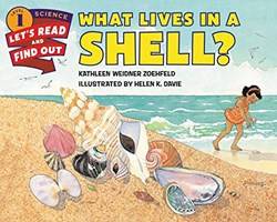 What Lives In A Shell