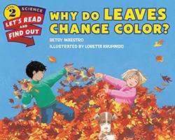 Why Do Leaves Change Color