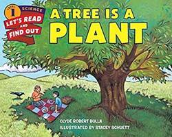 Tree Is A Plant A