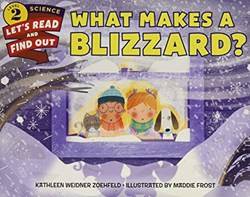 What Makes A Blizzard