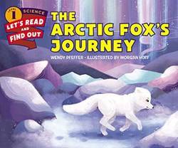 The Arctic Foxs Journey