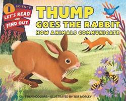 Thump Goes The Rabbit