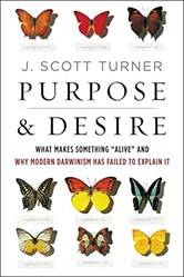Purpose And Desire