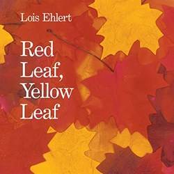 Red Leaf Yellow Leaf