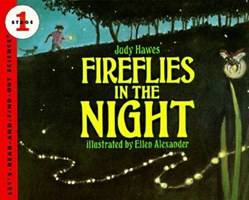 Fireflies In The Night