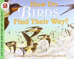 How Do Birds Find Their Way