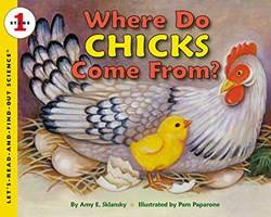 Where Do Chicks Come From