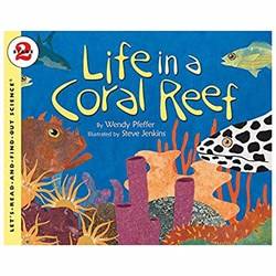 Life In A Coral Reef