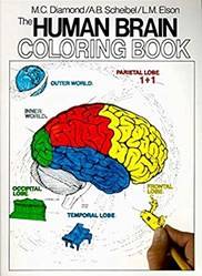Human Brain Coloring Book